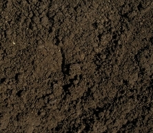 Terre noire (top soil) Terre noire (top soil)